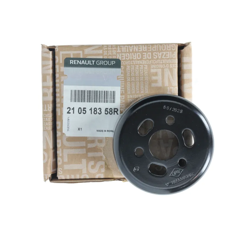 Řemenic Čerpadla Originál 210518358R Renault Sezónní Sleva