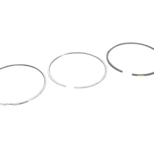 Pístních Kroužků Pro VW Audi 06J198151K B10364 Borsehung Sleva