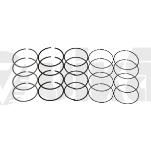 Pístních Kroužků Pro VW Seat Skoda 036198151K 11981543001 Vika Speciální Cena
