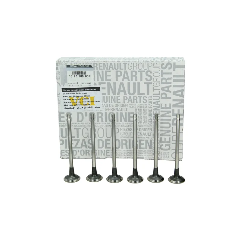 Ventil Kompletní Originál k 132020965R Renault Akce
