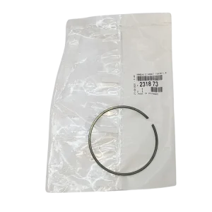 Speciální Cena Kroužek Originál Citroen Peugeot 231873 2318.73