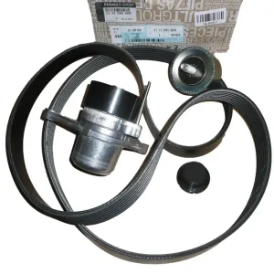 Řemen Nový originál 117209956R Renault Novinka