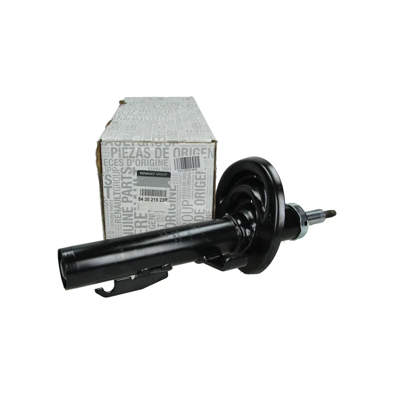 Tlumič Předek Originál Renault 543021923R Autentický