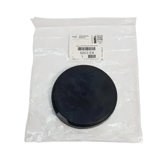 Zástrčka Předek Nový originál Citroen Peugeot 6203E4 Objednat Nyní