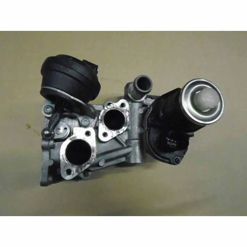 Oblíbený EGR ventil VAG 0280751012